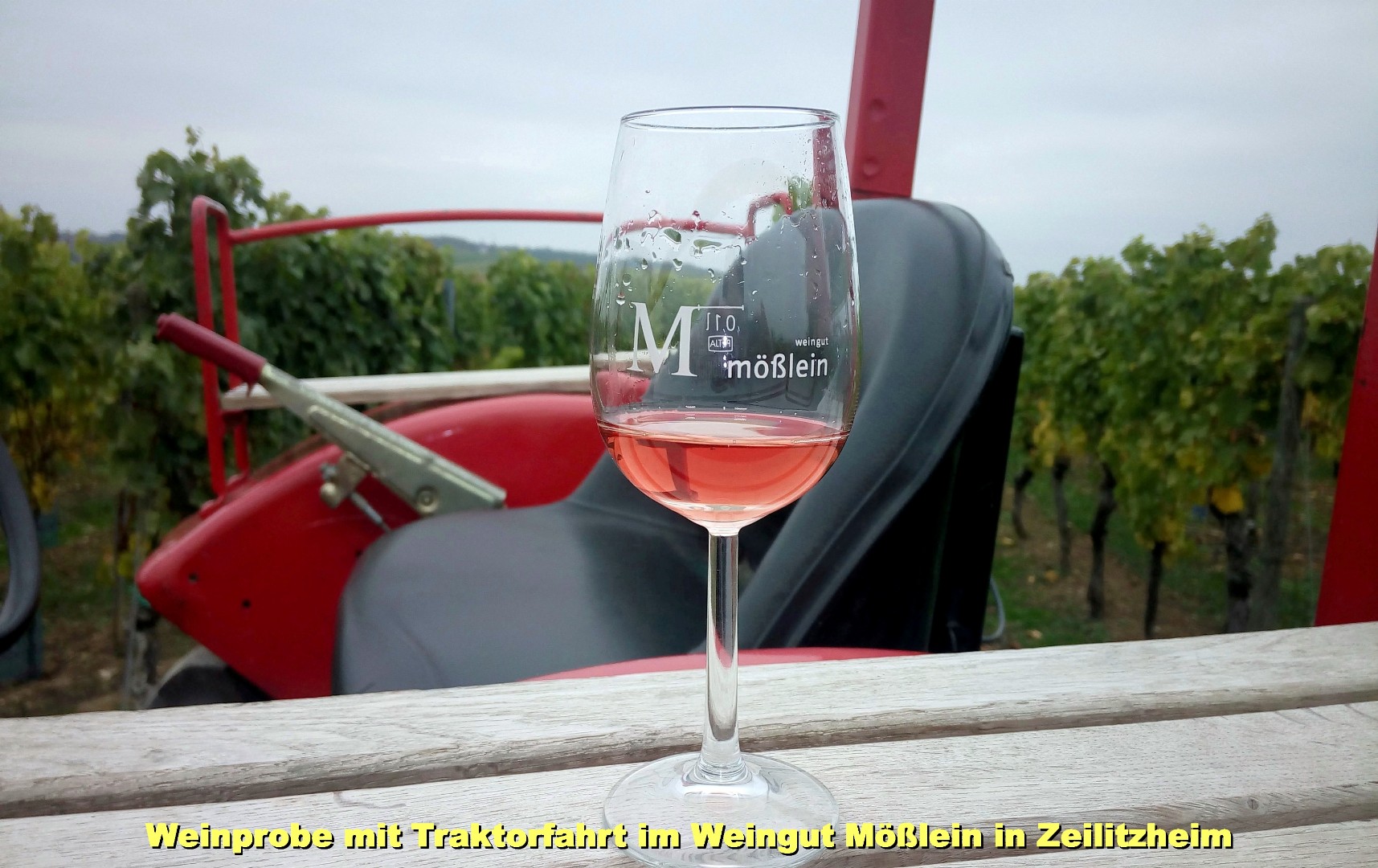 Weinfahrt 2015