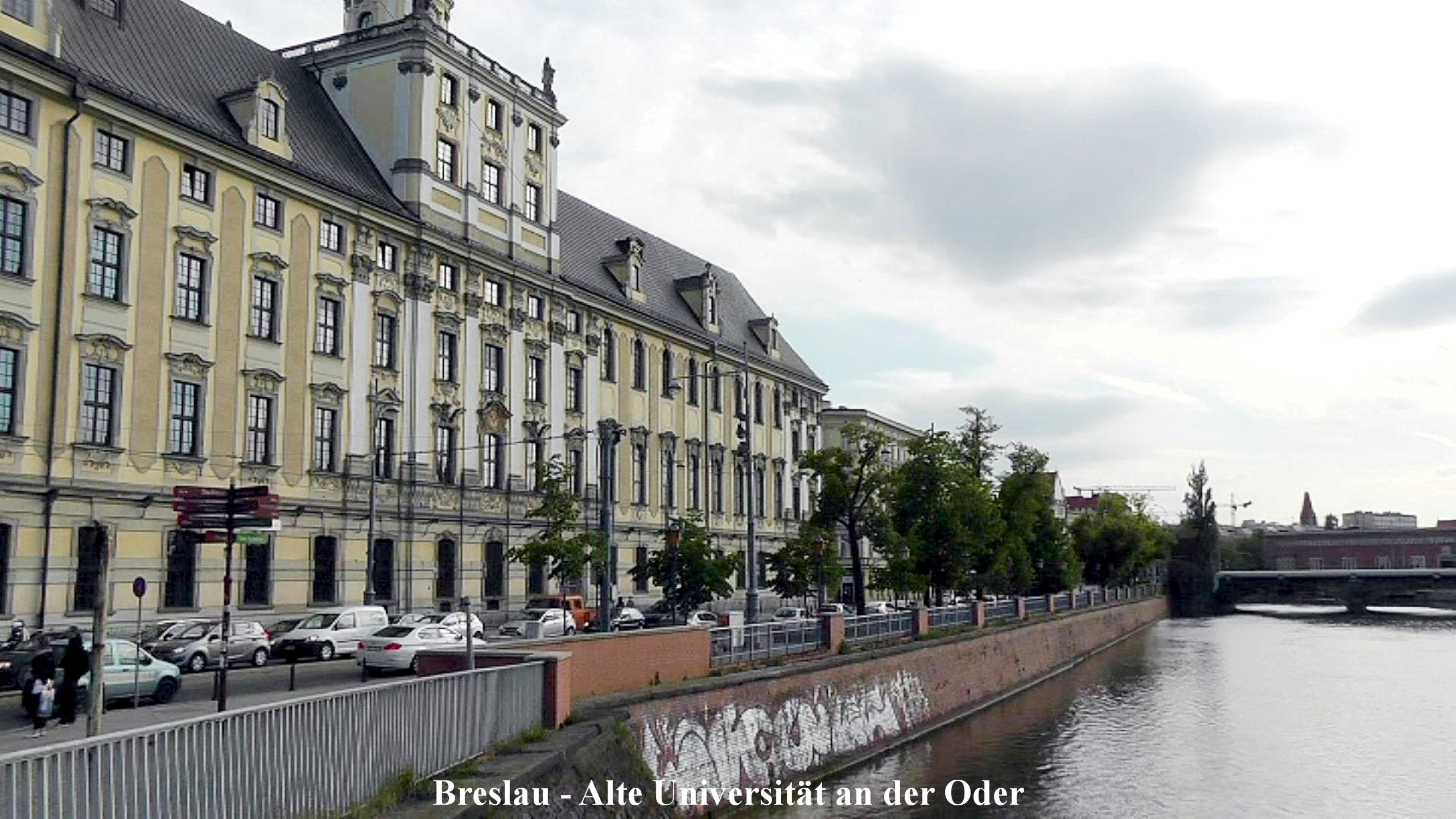 Breslau Alte Universitt